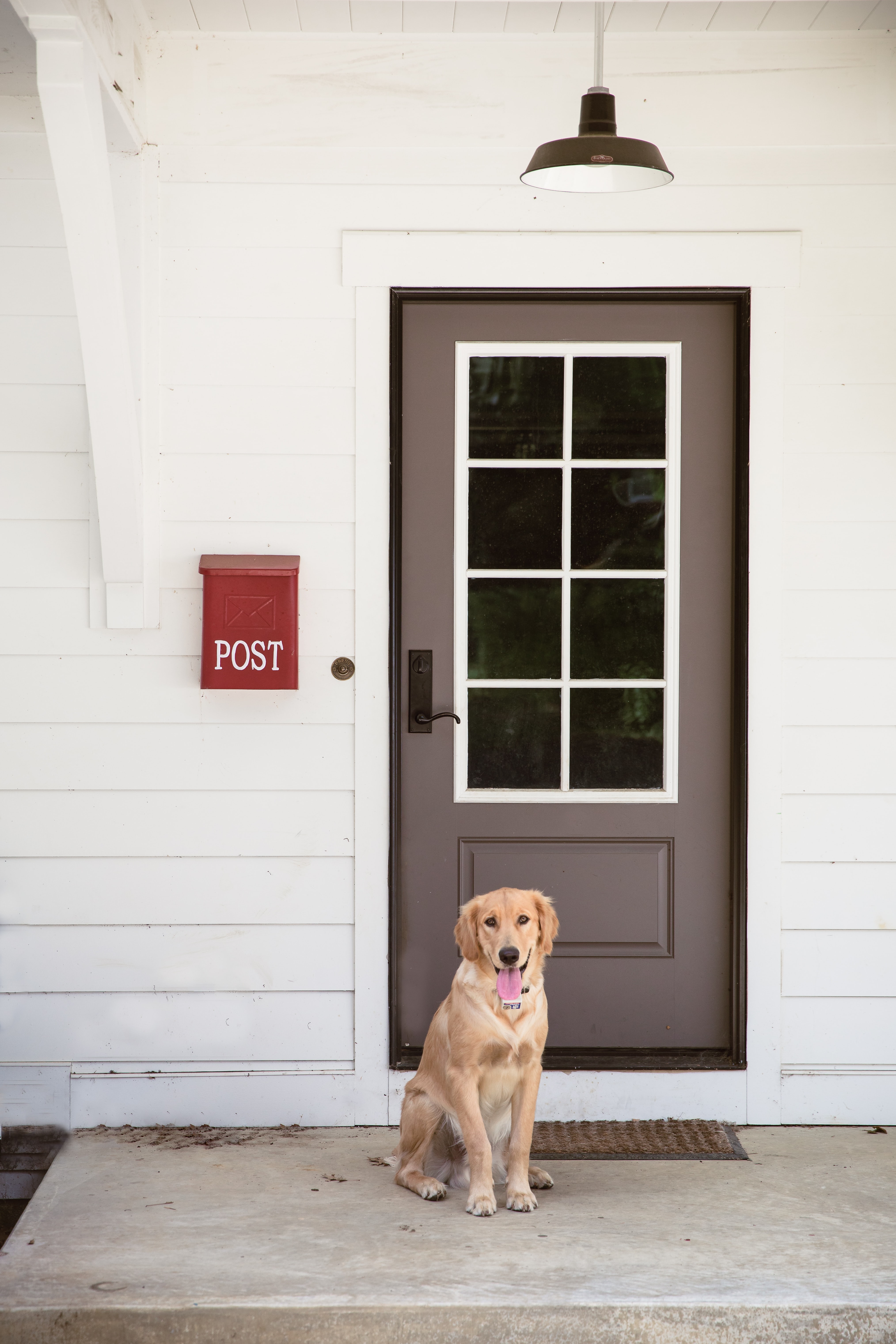 Un perro labrador está sentado frente a la puerta de una casa