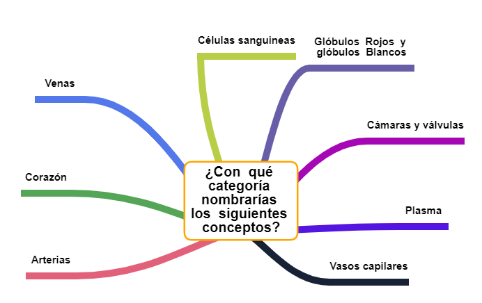 Una forma de clasificación