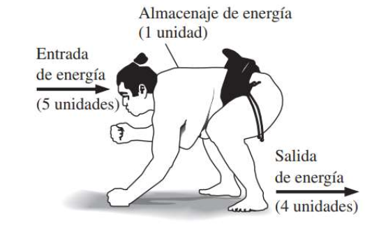 Principio de conservación de energía del cuerpo humano. (Fuente Mott. Termodinámica))