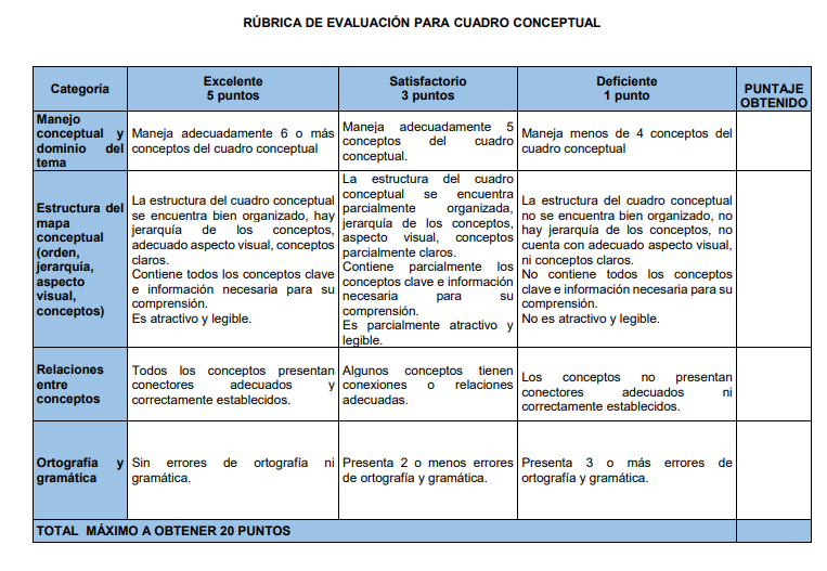 RUBRICA CUADRO CONCEPTUAL