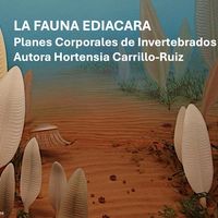 La Fauna del Ediacara